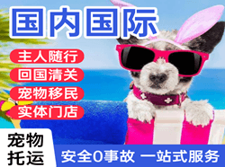 沙堤机场快递国际宠物托运 【国